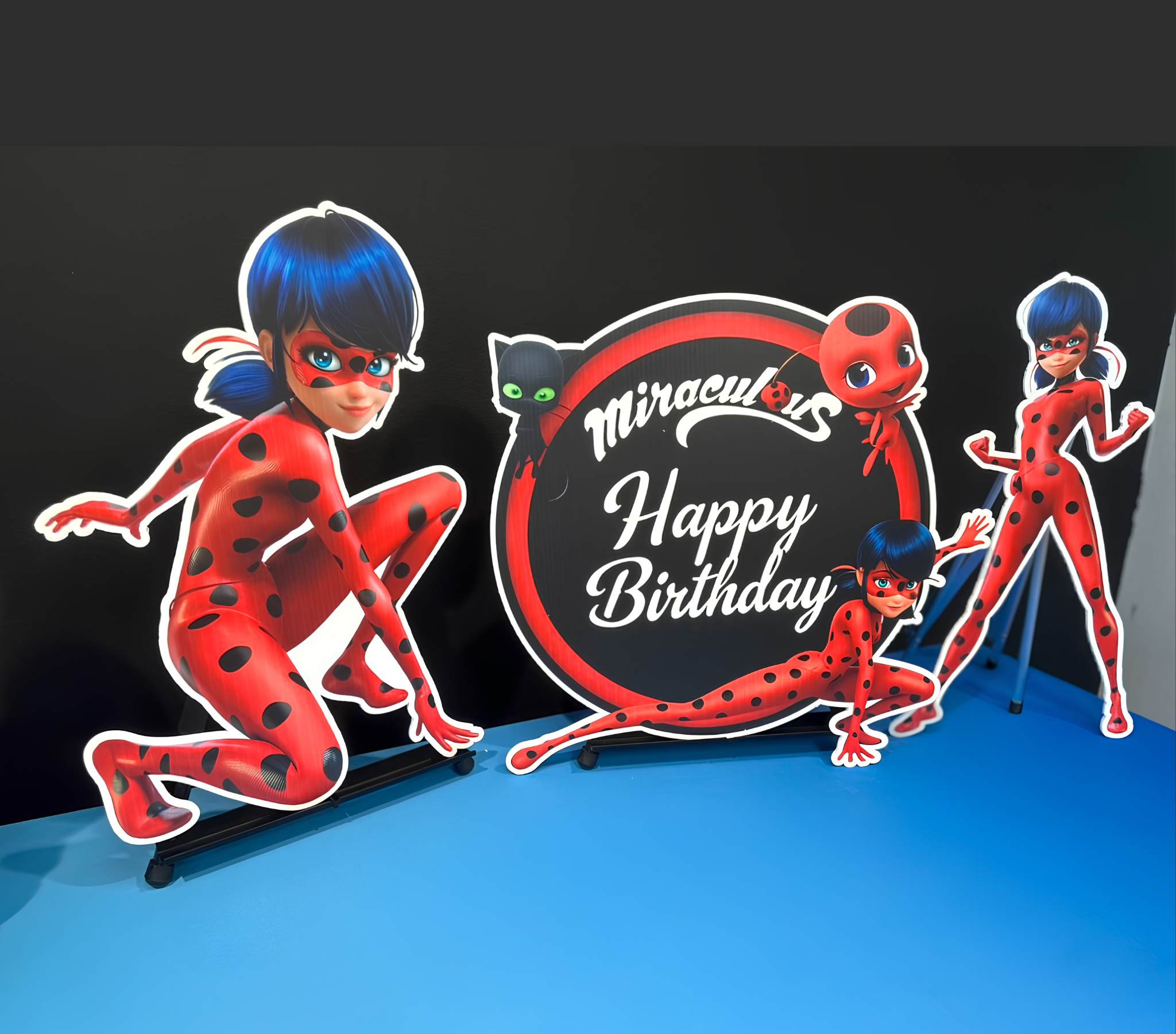 Miraculous Ladybug birthday display with character cutouts and personalized round sign
