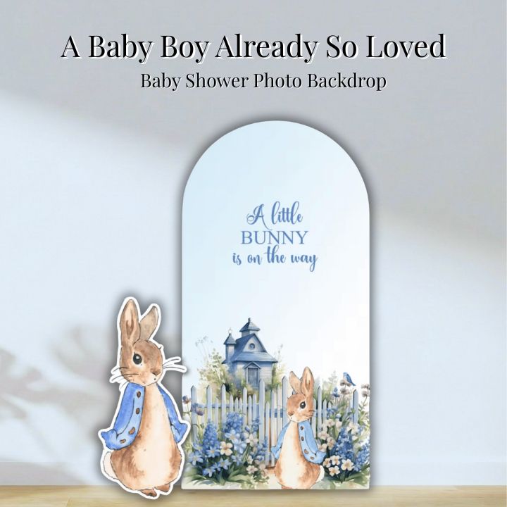 Baby Shower Backdrops Decor Camarillo